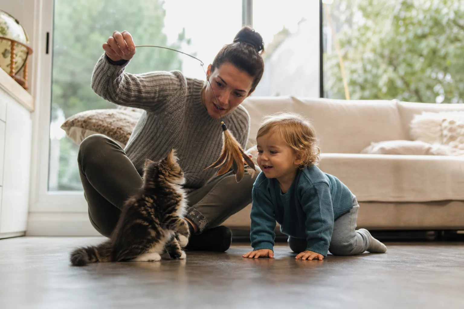 Un parent et un enfant jouent calmement avec un chaton dans un salon lumineux.