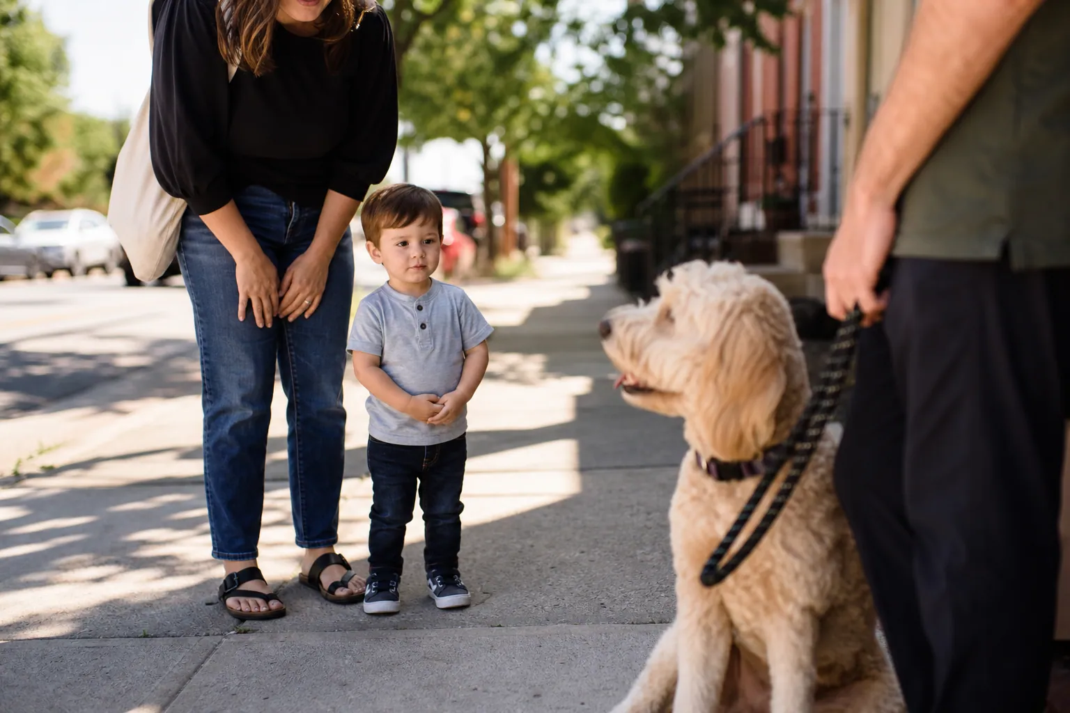Un enfant observe prudemment un chien calme tenu en laisse par son propriétaire dans la rue