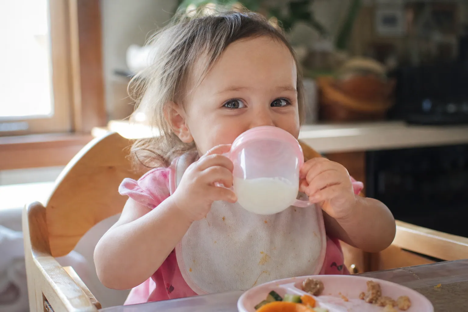 Un jeune enfant boit son lait dans un gobelet d'apprentissage à table, dans une cuisine baignée de lumière naturelle
